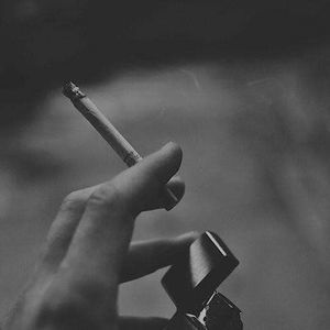 Meet your Posher, Voltaire